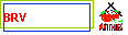  BRV 